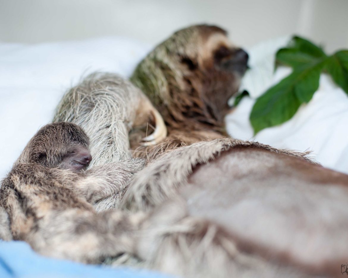 mom and baby two days later