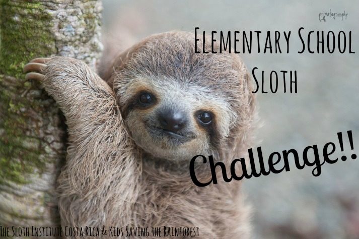 updatedslothchallenge