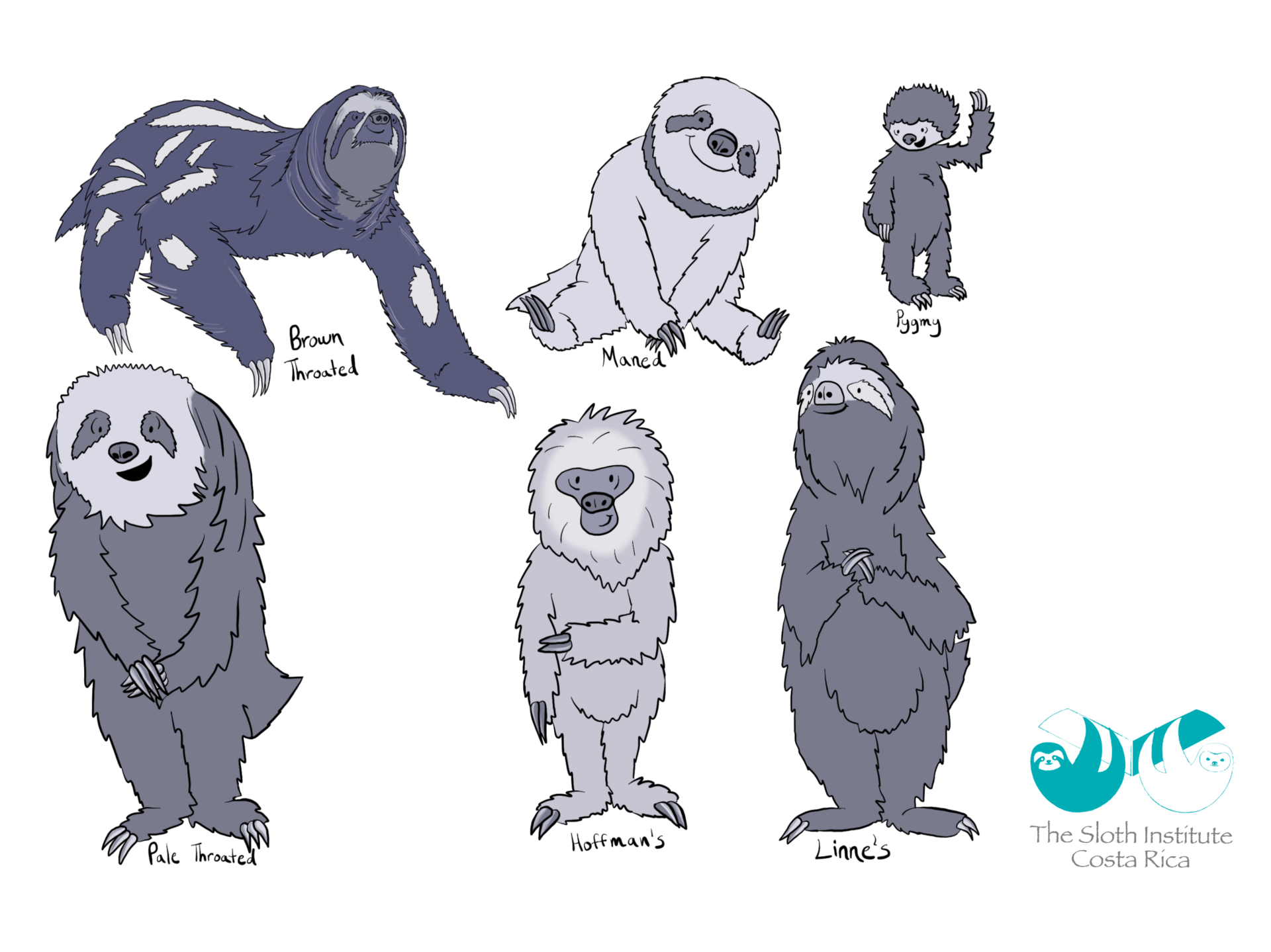 Sloth Types