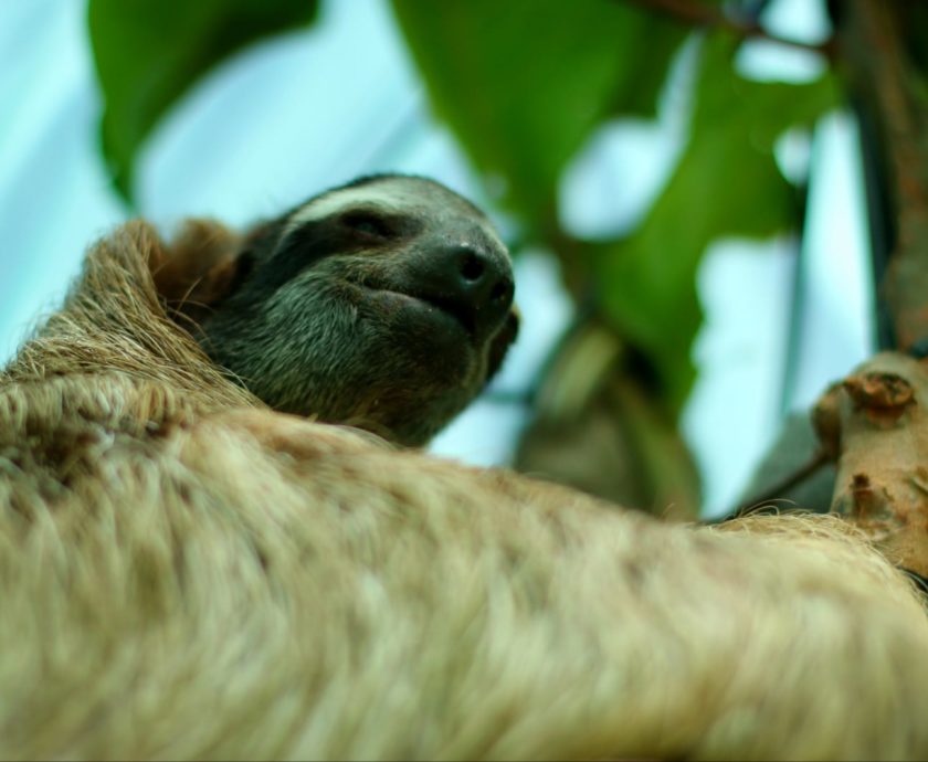 b990da14-1ced-41af-bf29-a175faaae31e