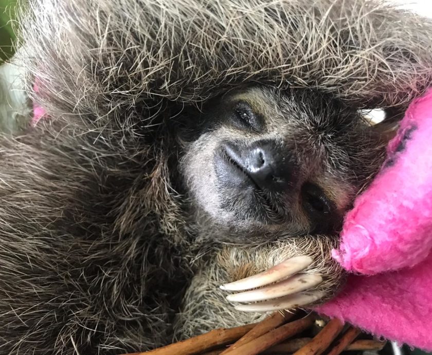 7d4784a6-1999-4244-8154-a08624cb66f1