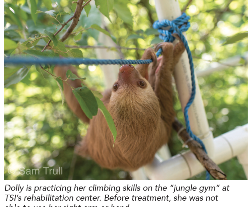 Screen Shot 2019-06-07 at 9.45.24 AM