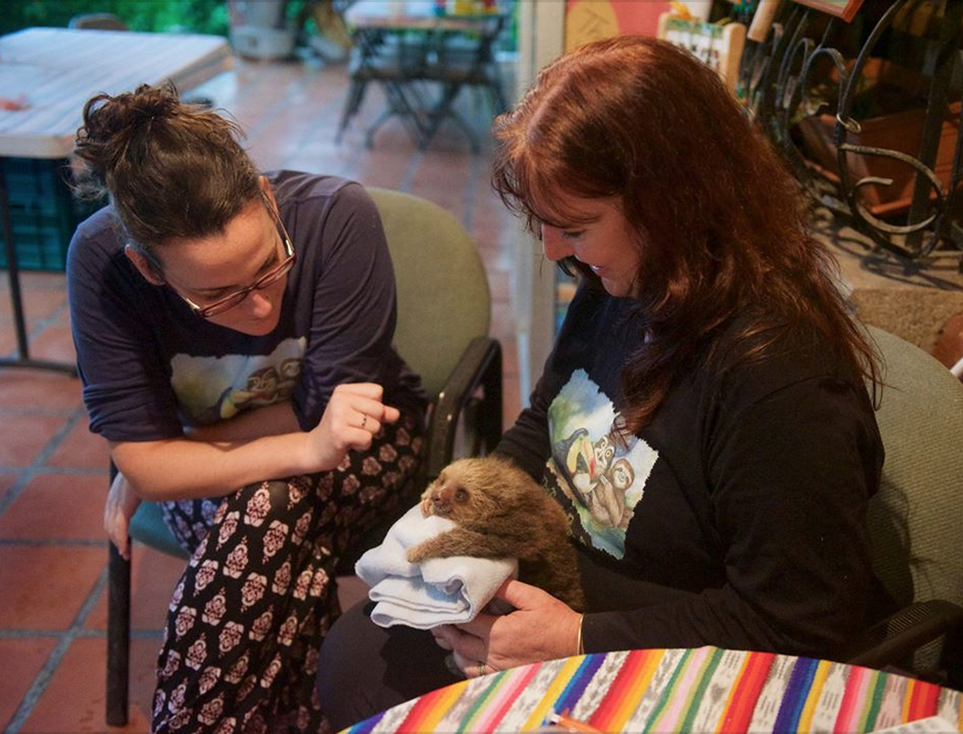 Screen Shot 2019-06-14 at 4.29.22 PM