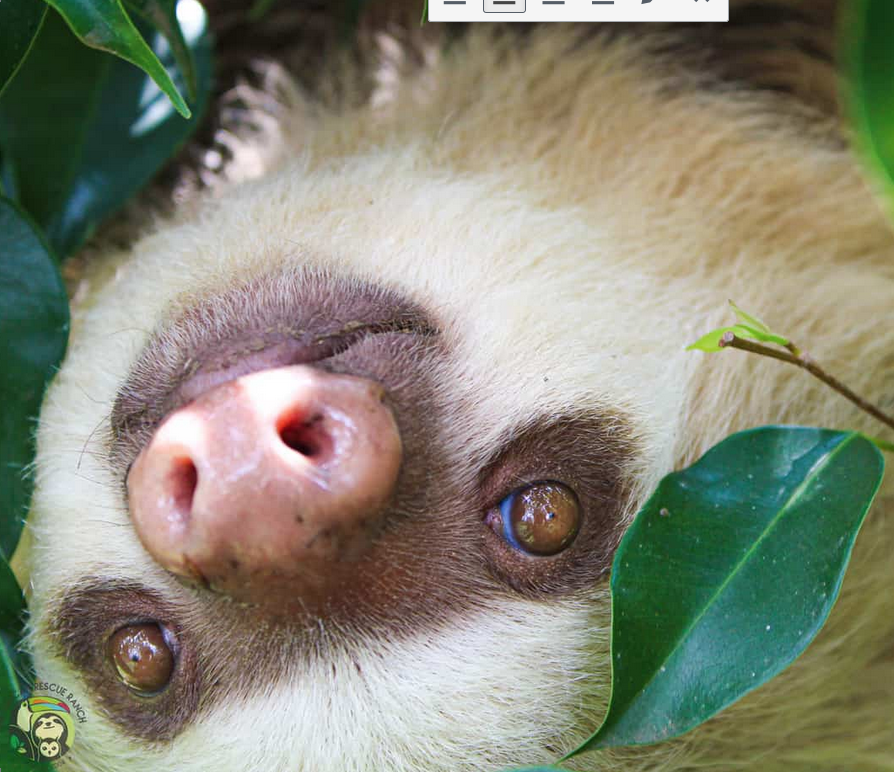 Screen Shot 2019-08-23 at 11.21.38 AM