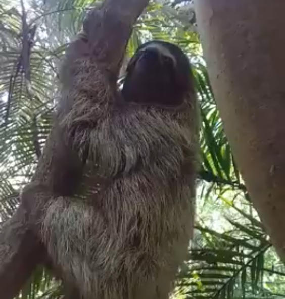 Screen Shot 2019-09-26 at 11.30.58 AM