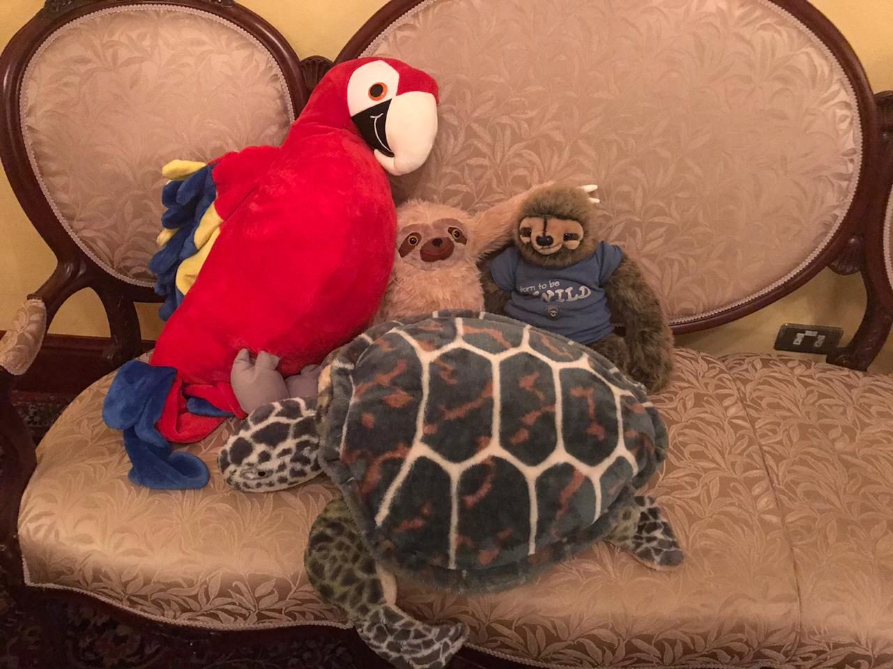 0ffbd887-5936-49d5-a5bc-1a6f74498818