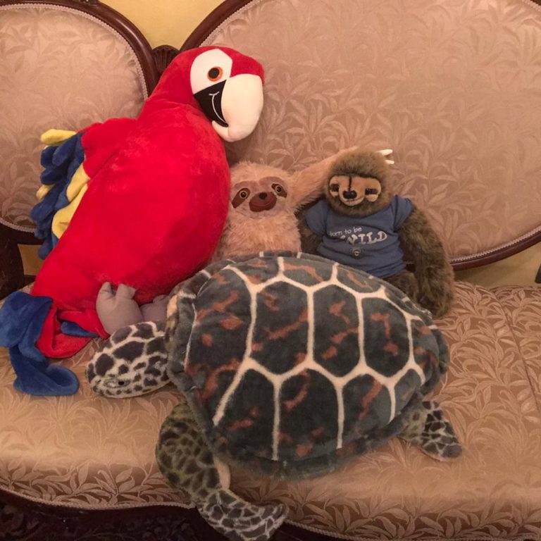 0ffbd887-5936-49d5-a5bc-1a6f74498818