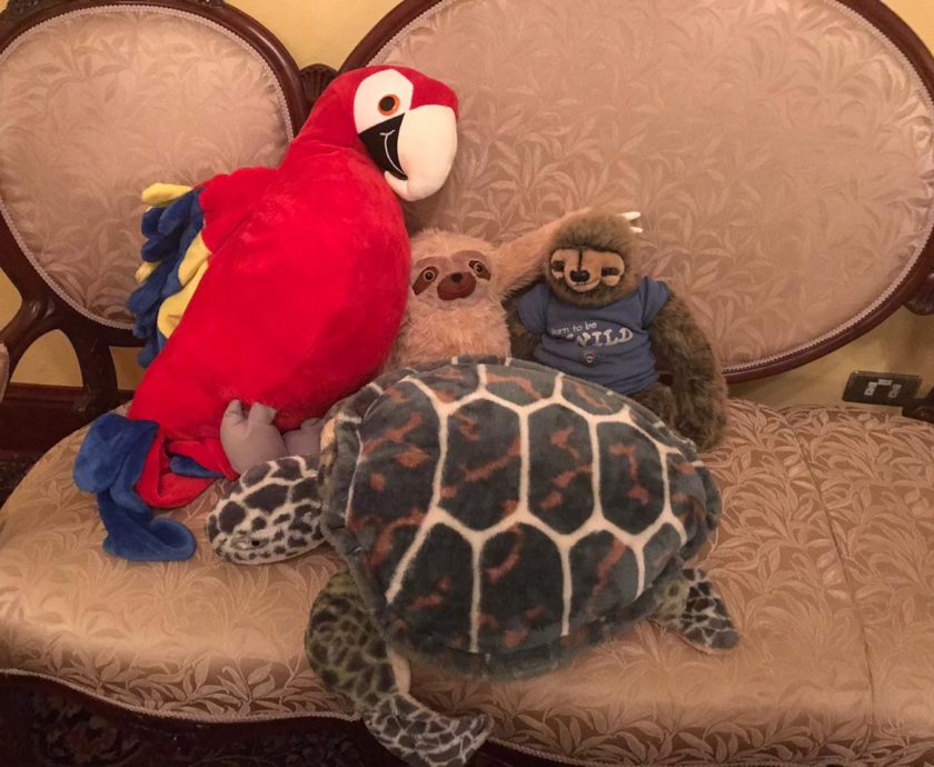 0ffbd887-5936-49d5-a5bc-1a6f74498818