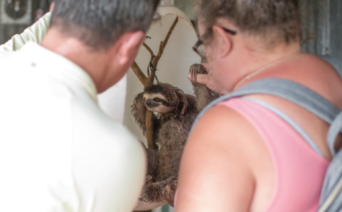 Screen Shot 2020-03-10 at 9.10.31 AM