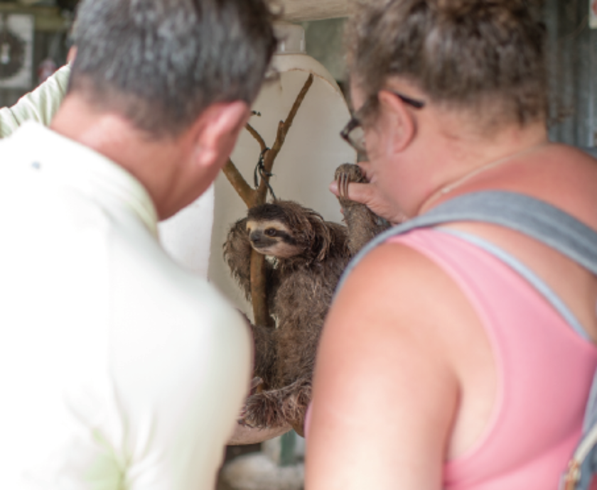 Screen Shot 2020-03-10 at 9.10.31 AM