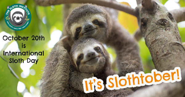 Slothtober