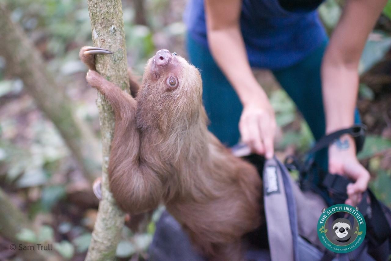 20bdf11f-959c-4e13-9849-d16a376c5d83