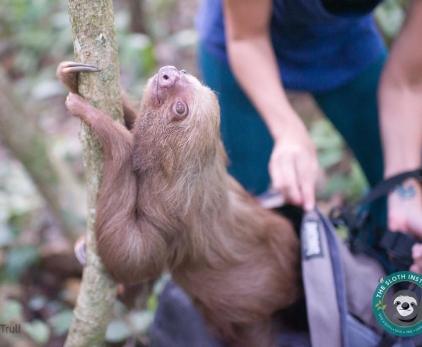 20bdf11f-959c-4e13-9849-d16a376c5d83