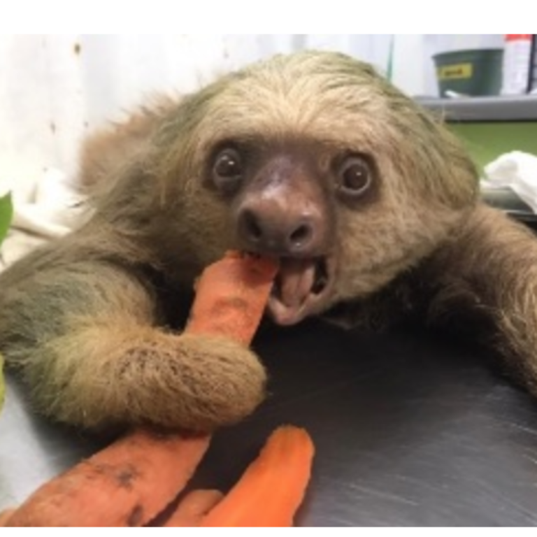 Screen-Shot-2021-06-19-at-7.09.41-PM