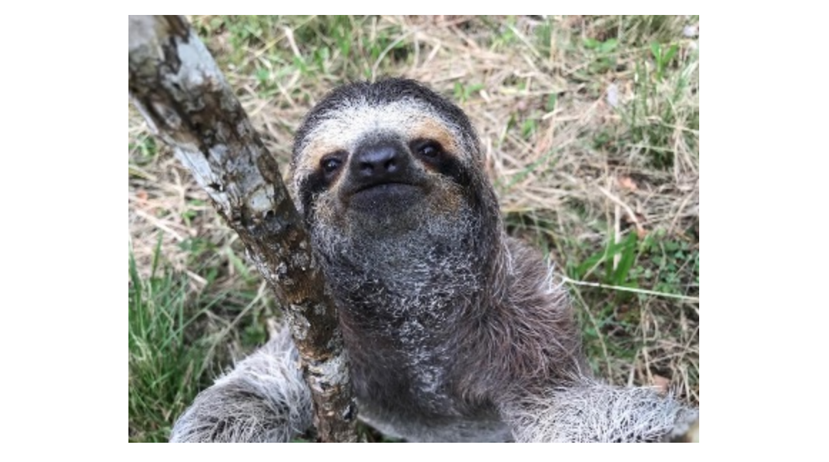 Screen-Shot-2021-06-19-at-7.11.00-PM