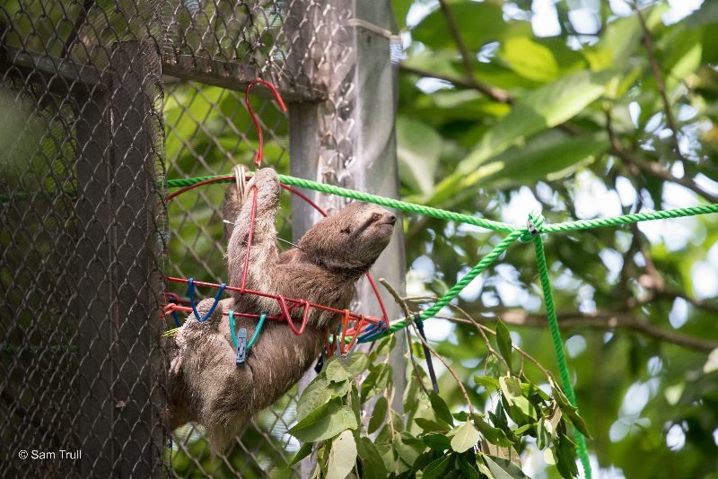 359a106a-8559-a7df-22a7-feafee387482